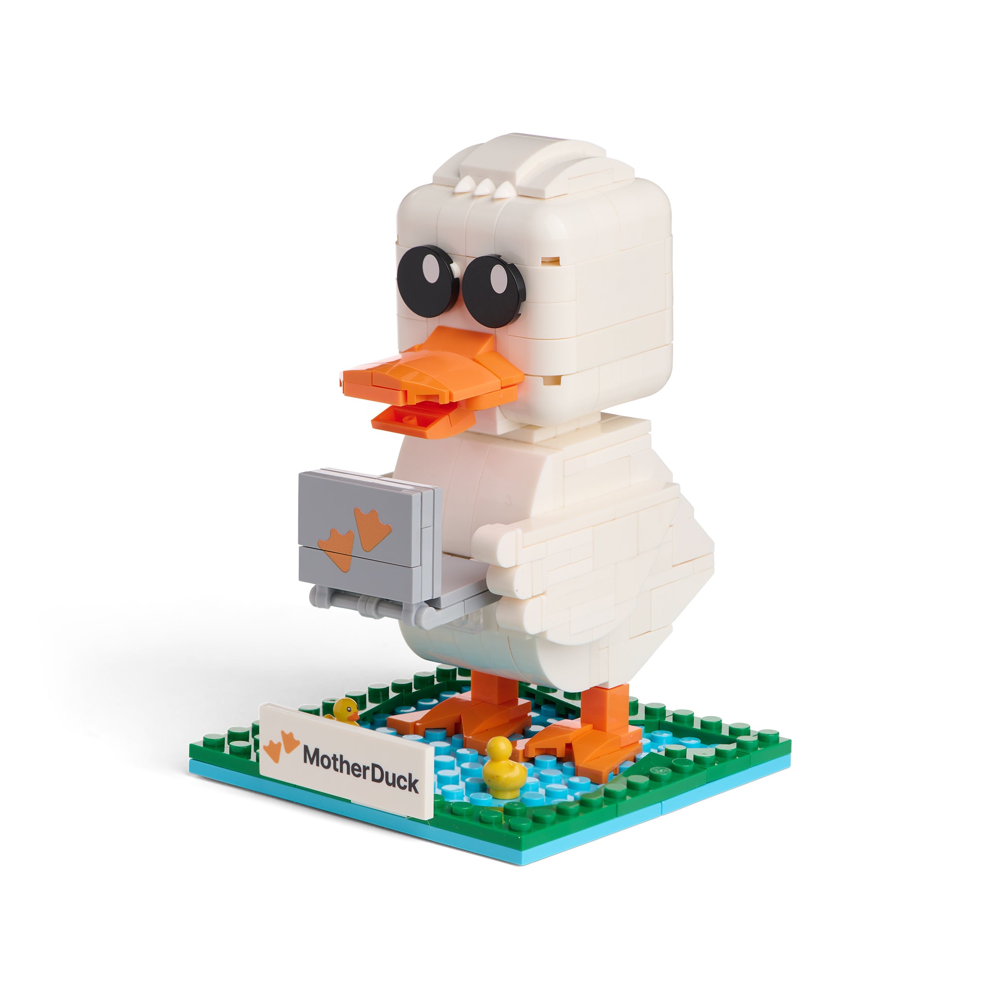 Build-a-Duck Set