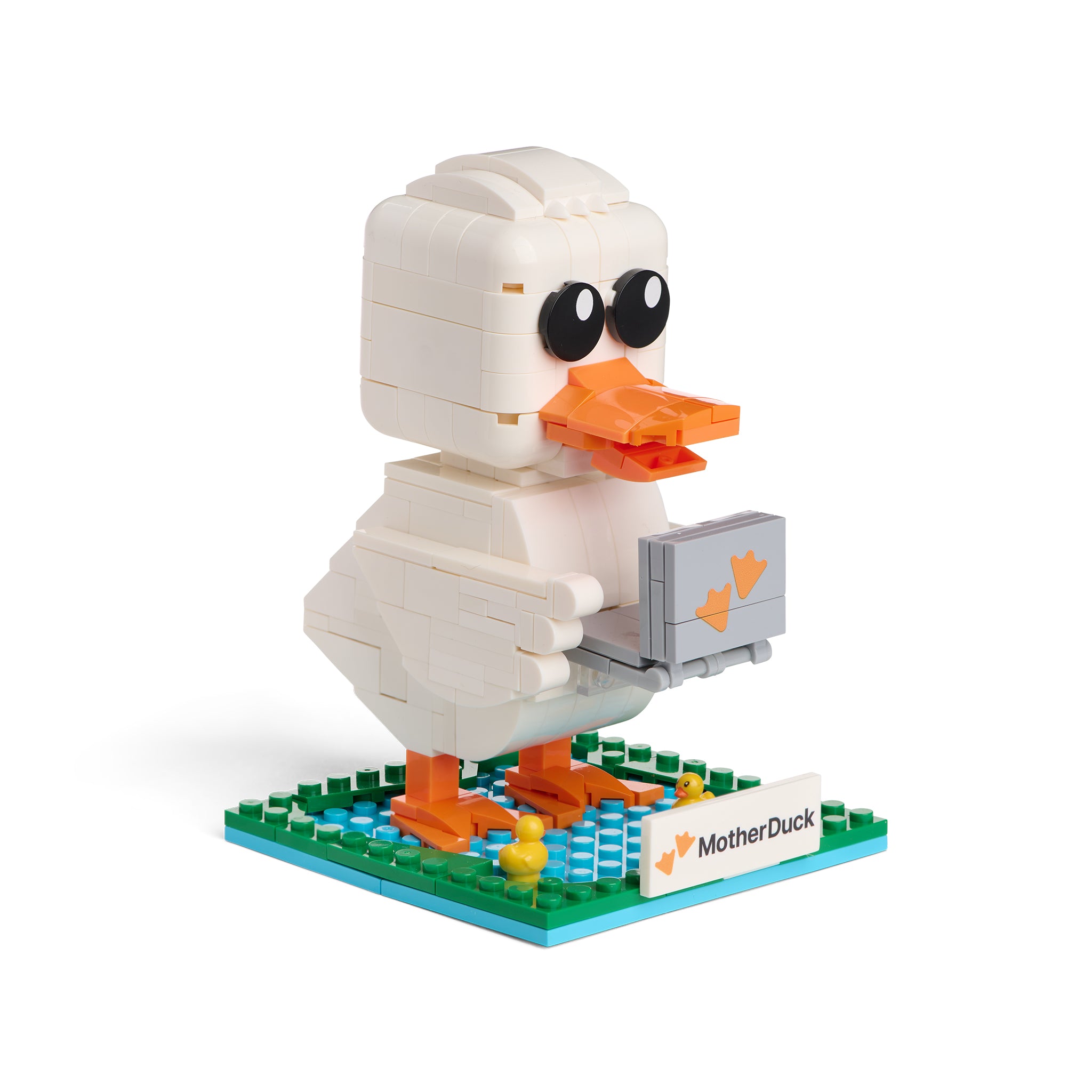 Build-a-Duck Set