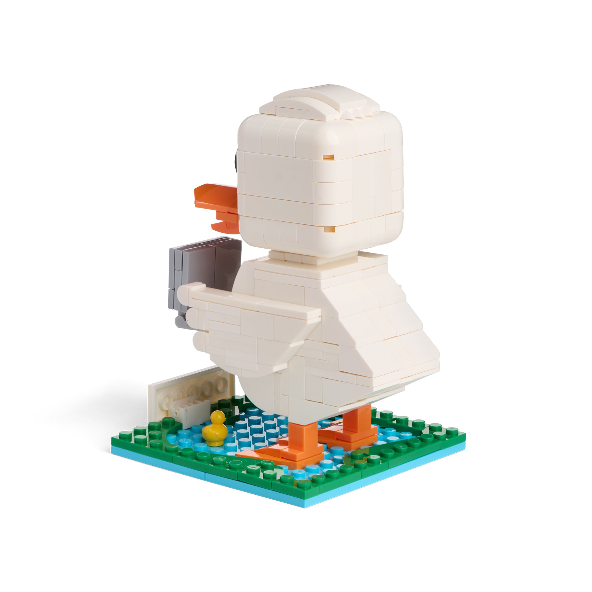 Build-a-Duck Set